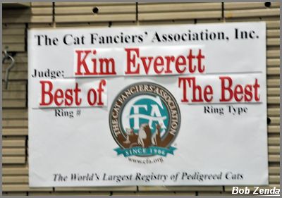 Kim Best of Best Judge